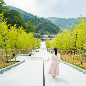 [야마구치]야마구치현 관광 주유 버스 투어 “후쿠의 여행” 야마구치호 B코스 (하기·아키요시 동굴)