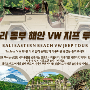  [발리] 동부 해안 VW 지프 투어