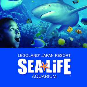 [나고야]  레고랜드 & SEA LIFE  아쿠아리움 (성수기)