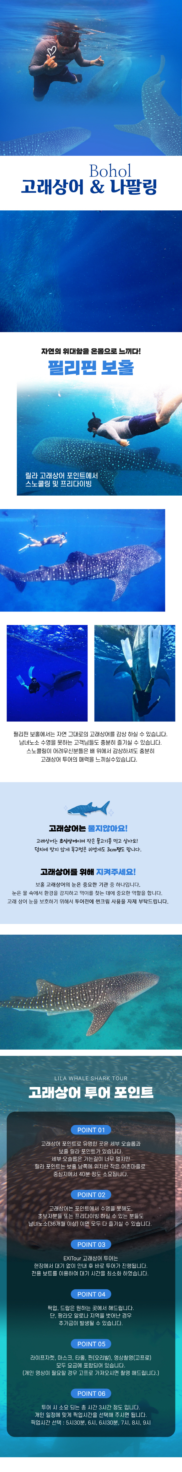 [보홀] 닐라 고래상어+정어리떼투어